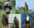 Eagles