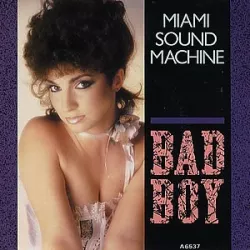 Bad Boy
