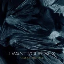 I Want Your Sex
